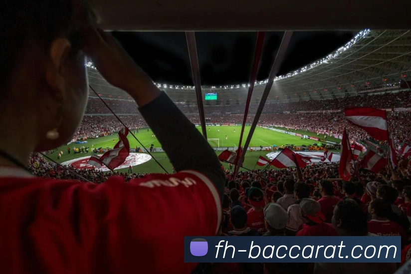 百家乐官网发展历程